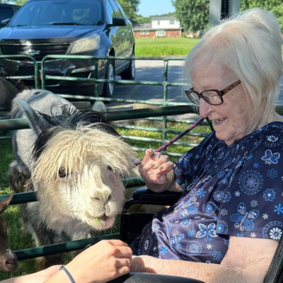 Nursing Home Tennessee Farm Animals